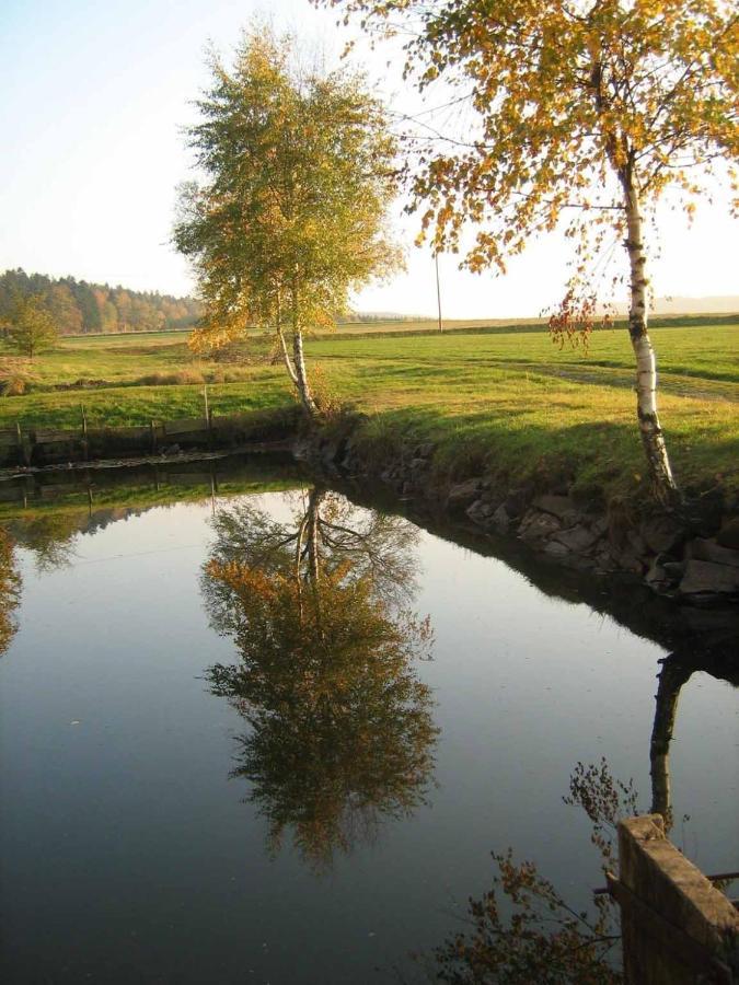 Ferienwohnung Leicht Annaberg-Buchholz Esterno foto